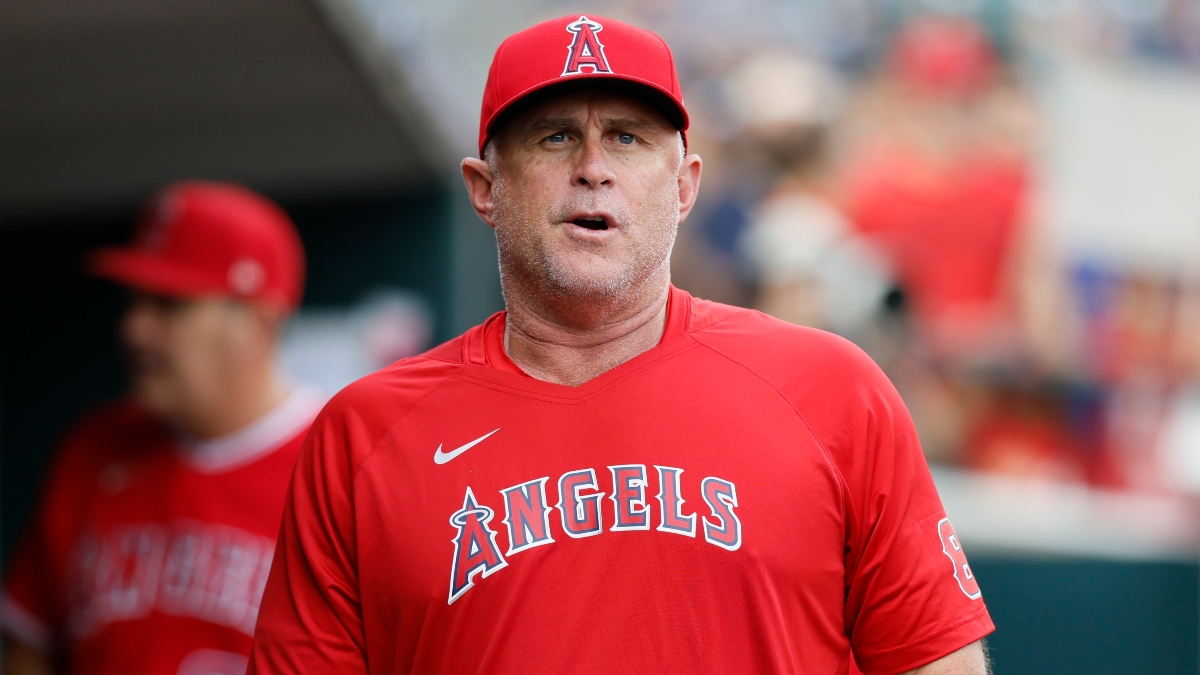 MLB Odds for Thursday | Angels vs. Tigers Betting Prediction article feature image