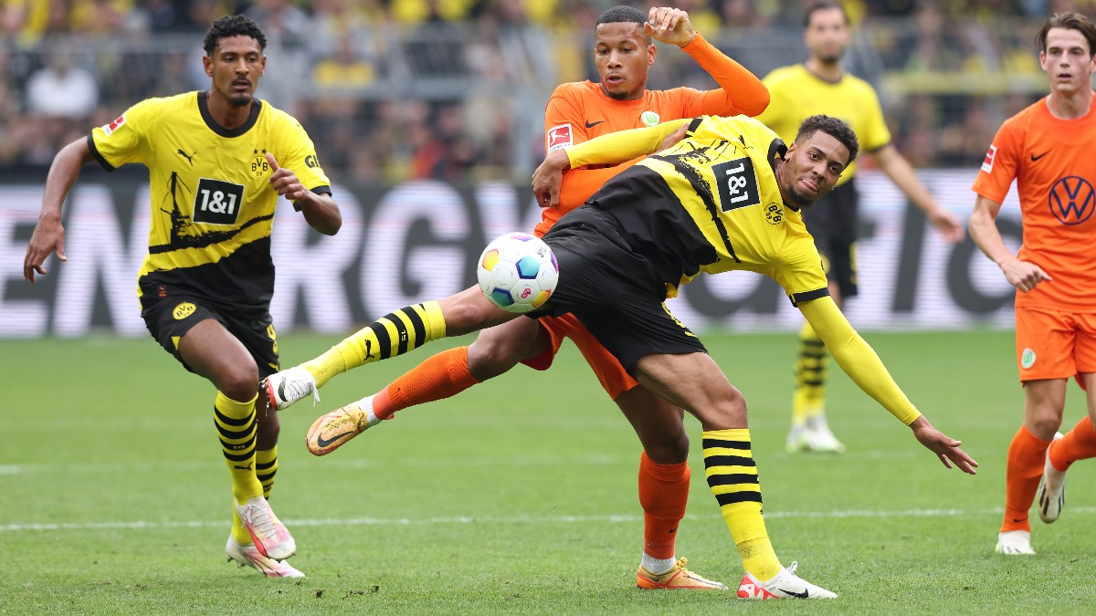 Hoffenheim vs Dortmund Odds, Picks, Predictions | Bundesliga Match Preview