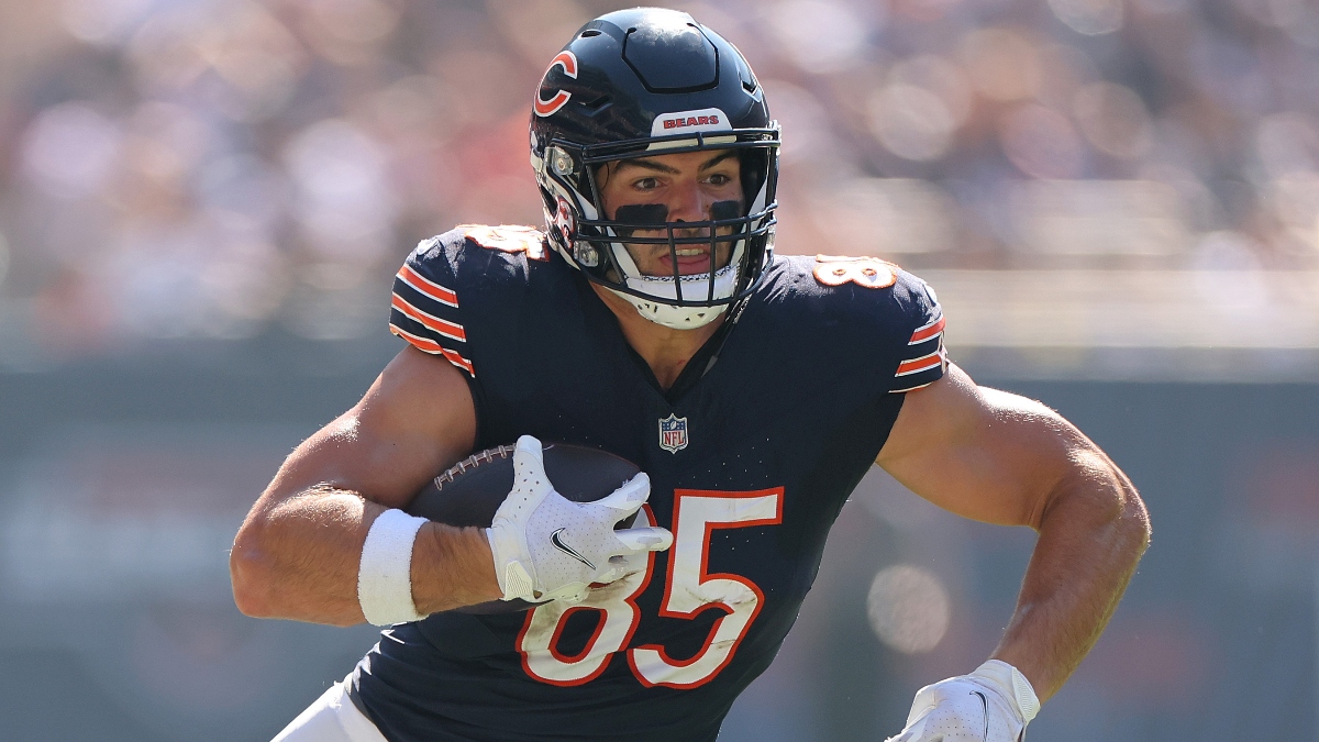 Thursday Night Football Odds: The Bears vs Commanders 60% NFL Spread Betting System article feature image
