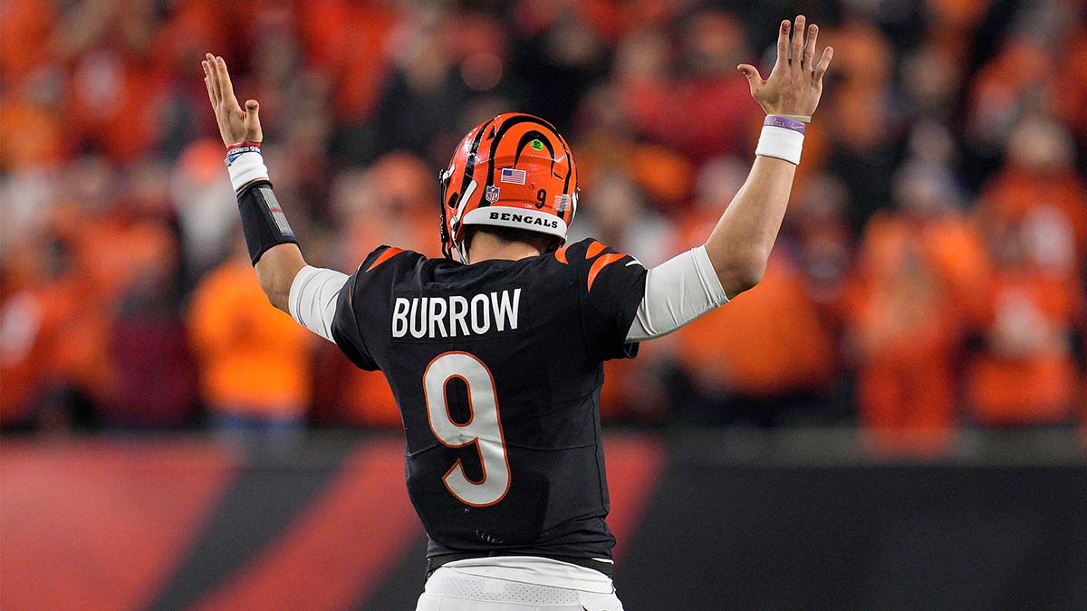 Bengals vs. Ravens Odds: Opening Week 11 Spread, Total article feature image