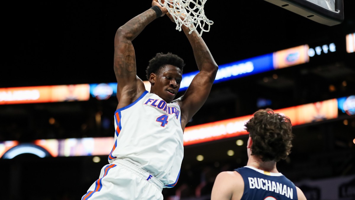 College Basketball Odds, Prediction for Florida State vs Florida article feature image