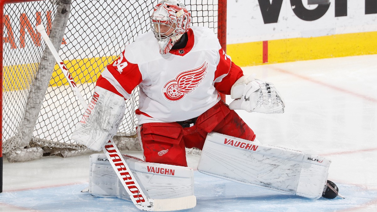 Red Wings vs. Hurricanes: Value on Detroit as Road 'Dog article feature image