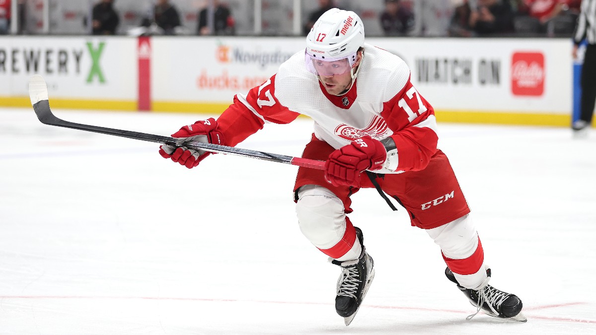 Red Wings vs. Panthers: A Moneyline Bet on Visitors article feature image