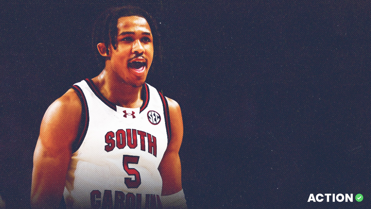 South Carolina vs Tennessee Odds, Pick for Tuesday article feature image
