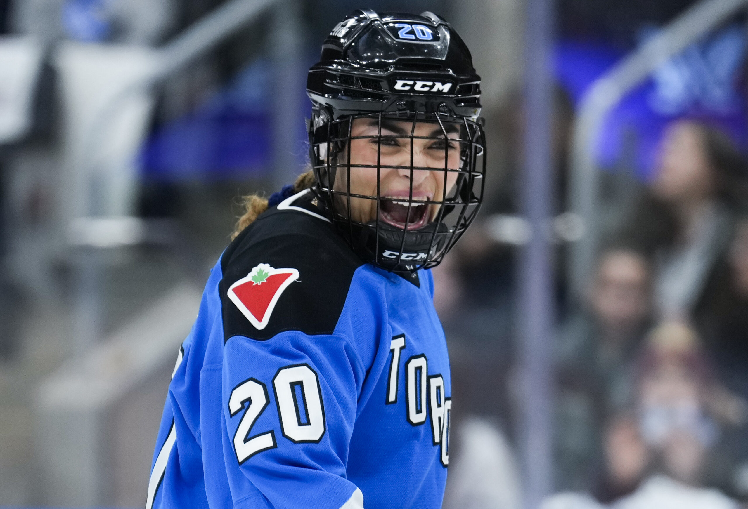 How to Bet on PWHL: Picks and Predictions for Every Professional Women’s Hockey League Team article feature image