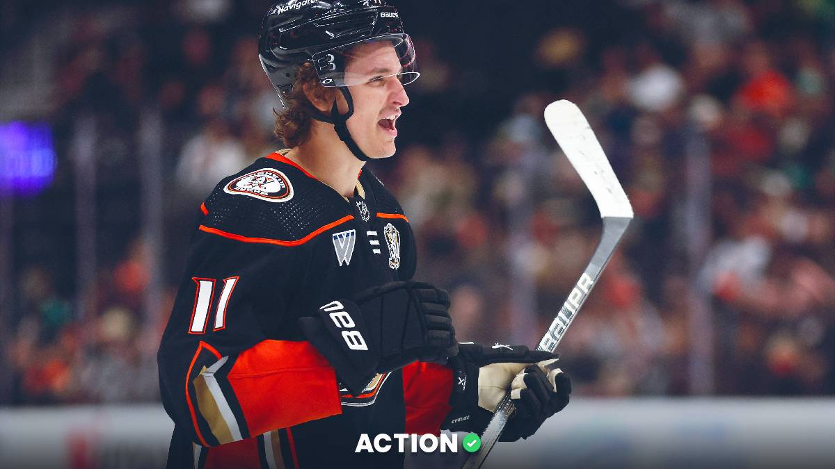 Flames vs. Ducks: Back Anaheim at Home? Image