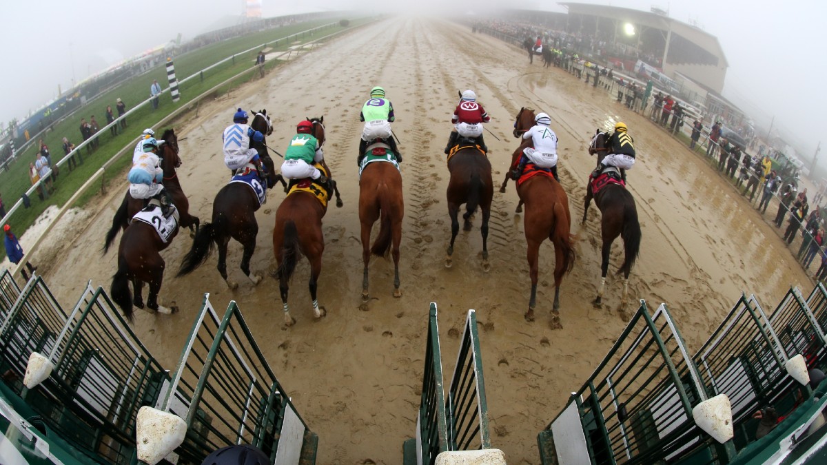 Preakness Stakes Odds, Best Bets: Expert Picks to Win, Exacta, Trifecta, Superfecta