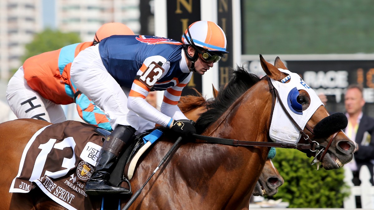 Preakness Stakes Picks and Predictions: Full Saturday Betting Card Image