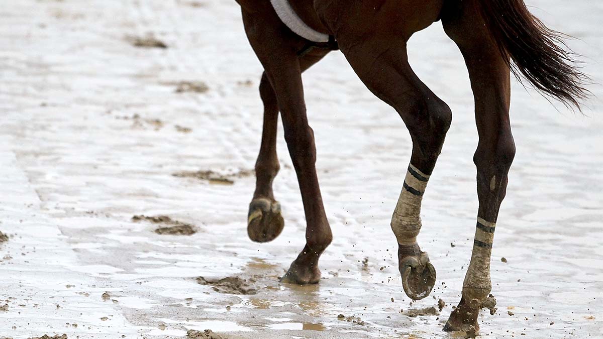 Kentucky Derby Weather: Chance of Rain Saturday Image