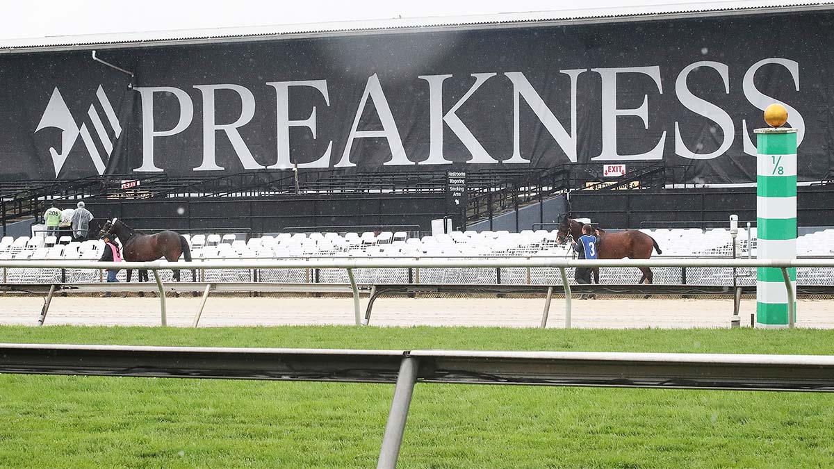 2024 Preakness Stakes Order of Finish, Payouts, Results Image