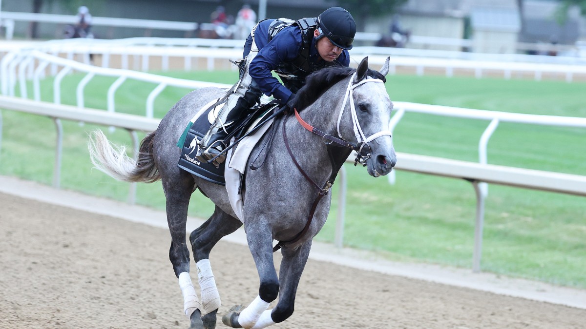 Full Belmont Stakes Betting Predictions for Saturday's Stakes Races Image