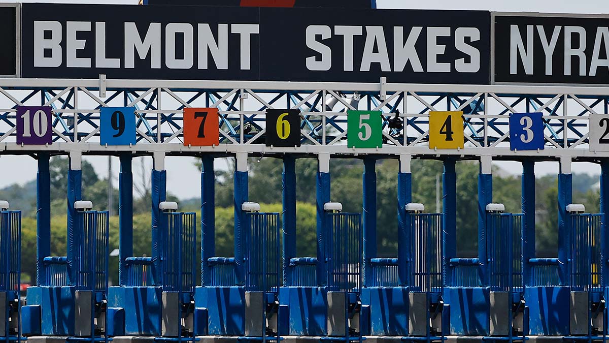 Belmont Stakes Odds 2024: Sierra Leone Favored at Saratoga, Seize the Grey Right Behind article feature image