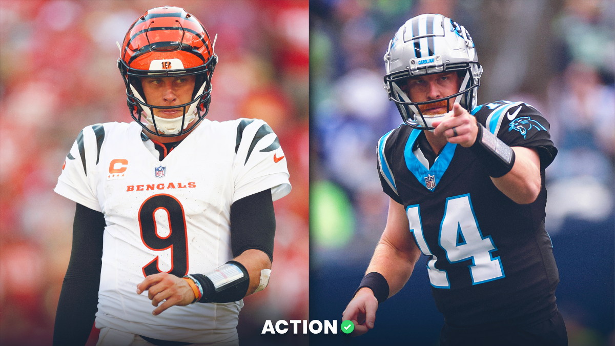 Bengals vs. Panthers Week 4 Odds Image