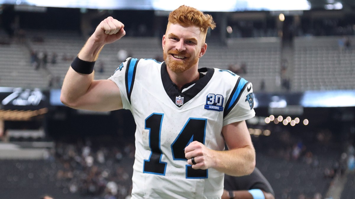 Panthers' Odds vs. Bengals, Futures Boom After Upset Win vs. Raiders Image