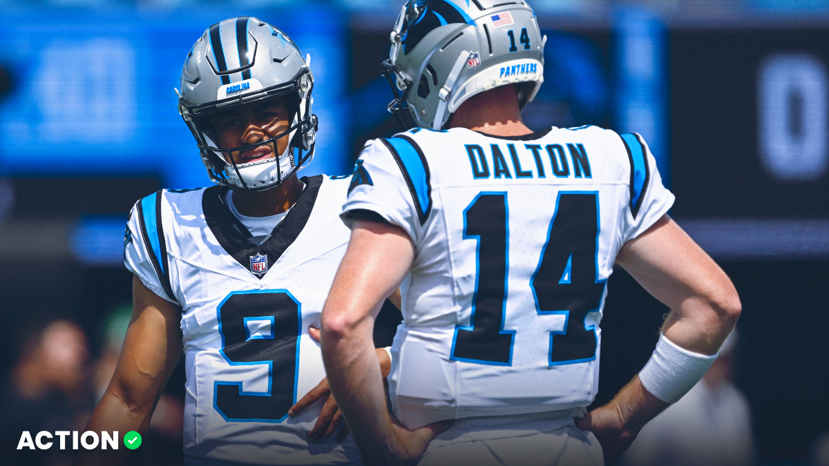 How Panthers vs Raiders Odds Changed With Bryce Young Benched article feature image