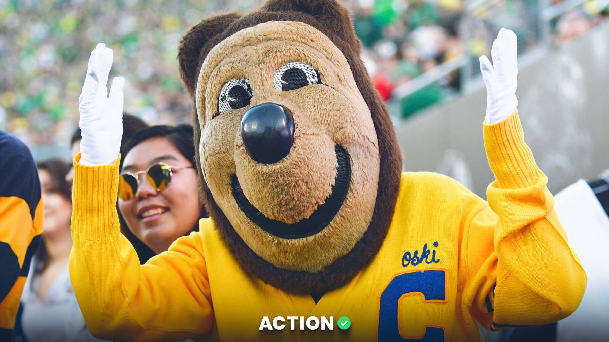 NC State vs Cal: Trust Bears' Defense article feature image