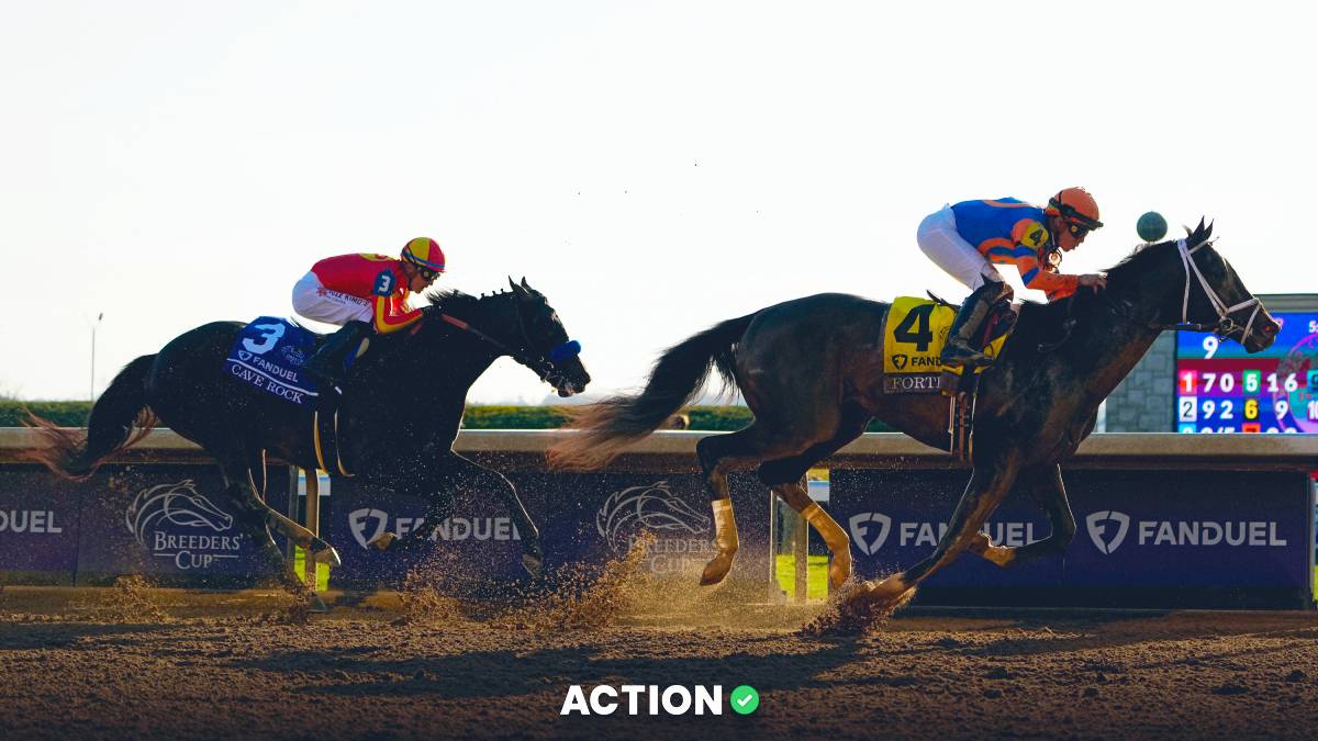 Accel Unveils Plans for Racino at FanDuel Sportsbook & Horse Racing Track article feature image