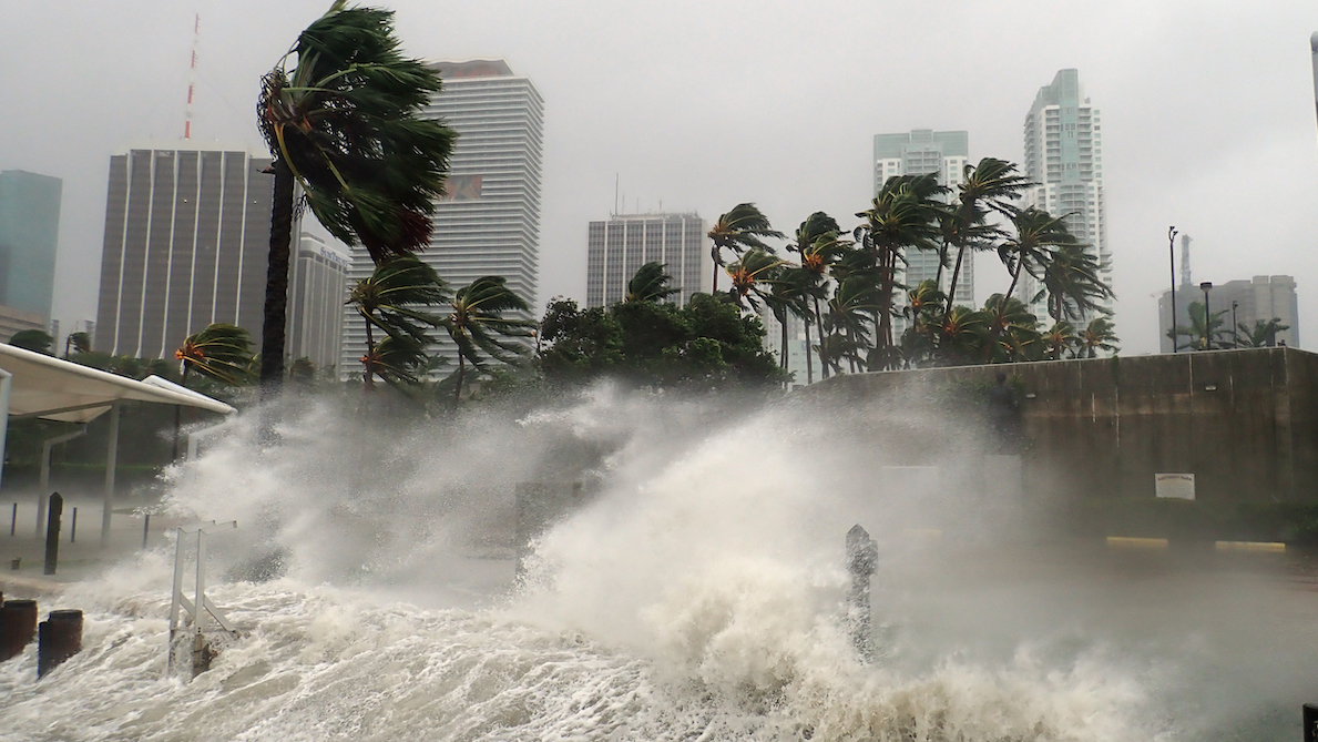 Hurricane Milton Affecting Florida's Casino Industry article feature image