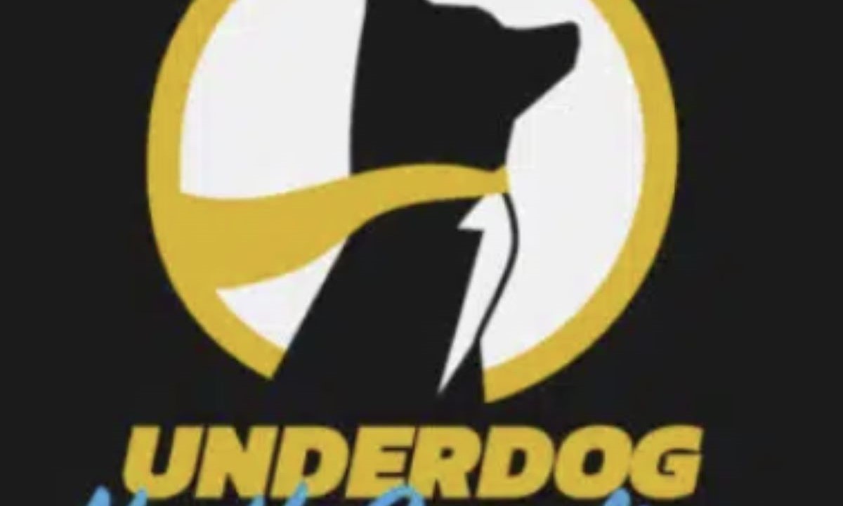 Underdog CEO Levine Touts Product, Speed Image