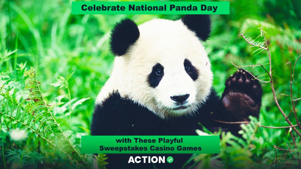 Celebrate National Panda Day With These Playful Sweepstakes Casino Games Image