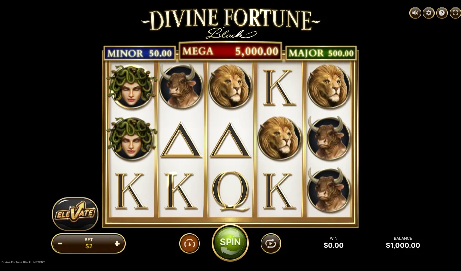 A look at the Divine Fortune Black gameplay interface. 