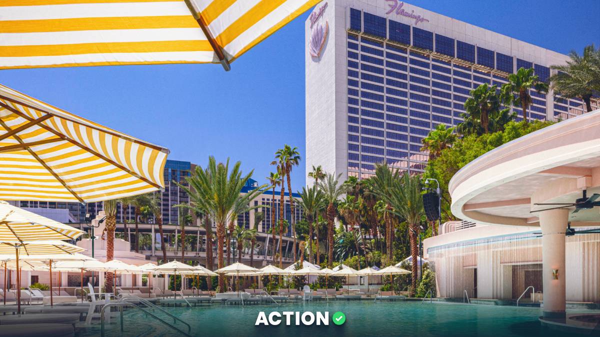 The All-New Go Pool at Flamingo Las Vegas is Now Open