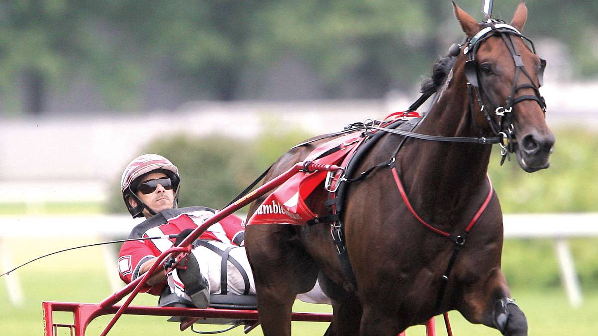 meadowlands racing is known for its horse track and wagering opportunities but now may be adding a casino.