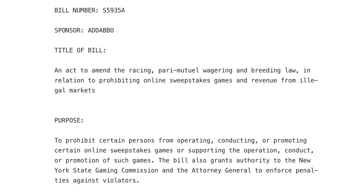sweepstakes casinos are among the targets of a bill new york lawmakers are considering that would ban dual-currency games.
