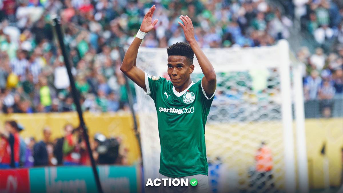 Palmeiras vs Botafogo Prediction, Picks, Odds for Club World Cup