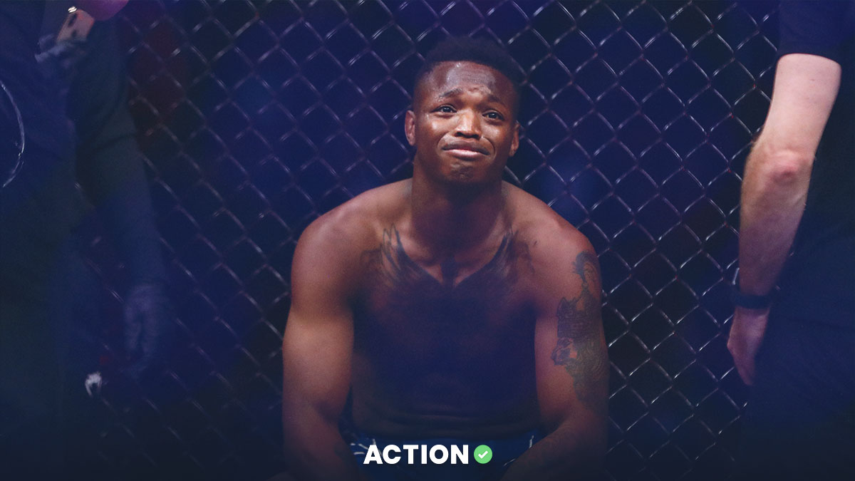 Terrance McKinney vs. Vlacheslav Borshchev Prediction, Pick, Odds for UFC 317