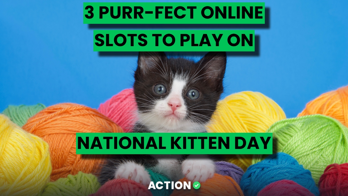 3 Purr-fect Online Slots To Play On National Kitten Day 2025