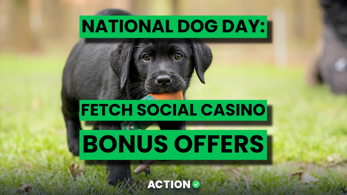 Fetch the 5 Best Social Casino Bonus Offers This National Dog Day