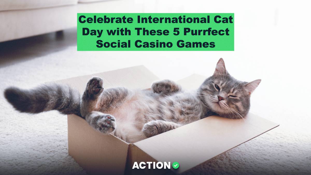 Celebrate International Cat Day With These 5 Purrfect Social Casino Games
