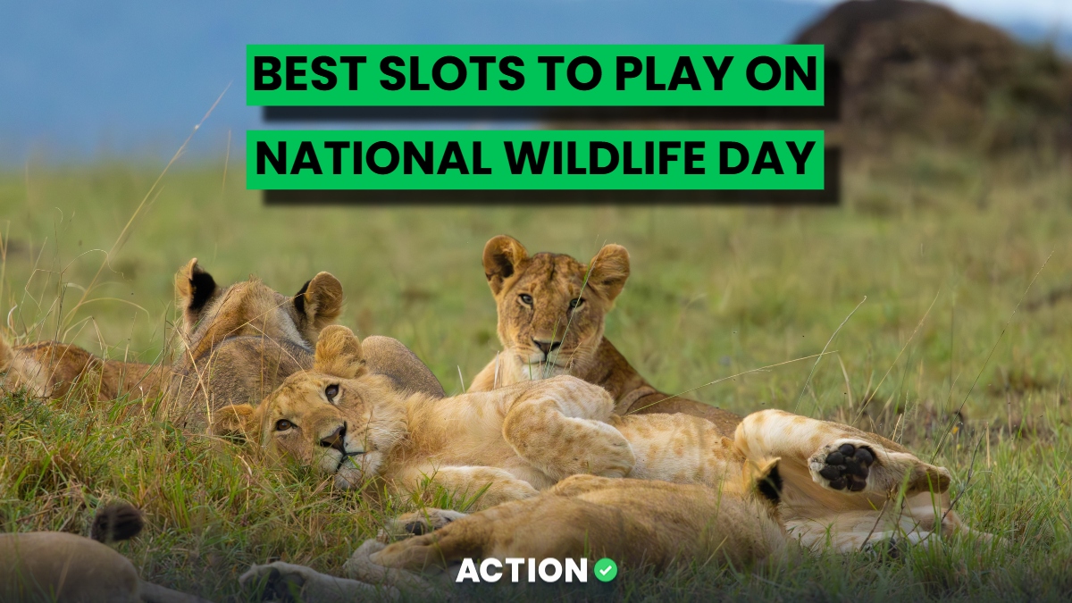 6 Best Slots to Play on National Wildlife Day to Celebrate Nature’s Majestic Creatures!