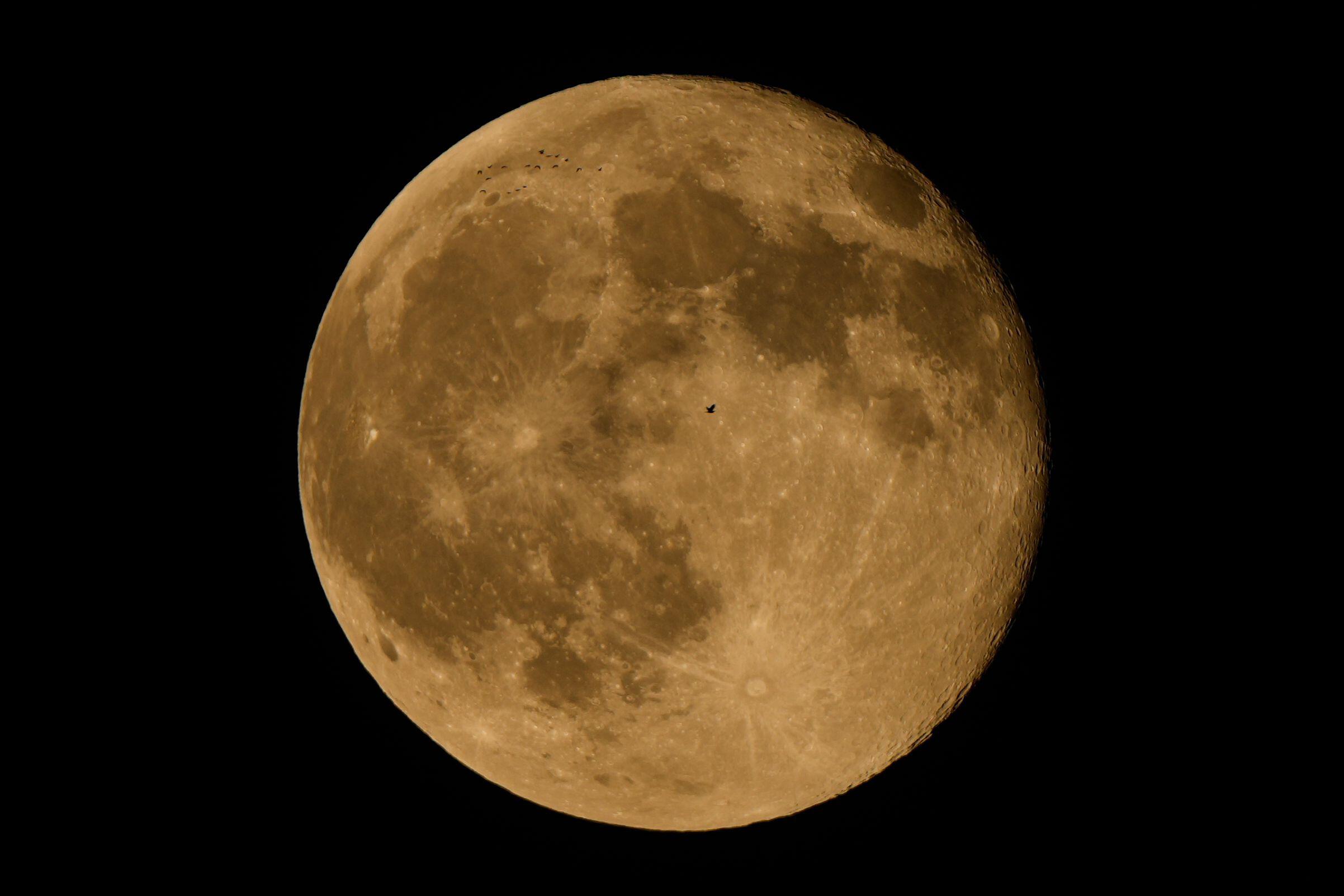 Where in America Are You Most Likely to See the Supermoon Clearly?