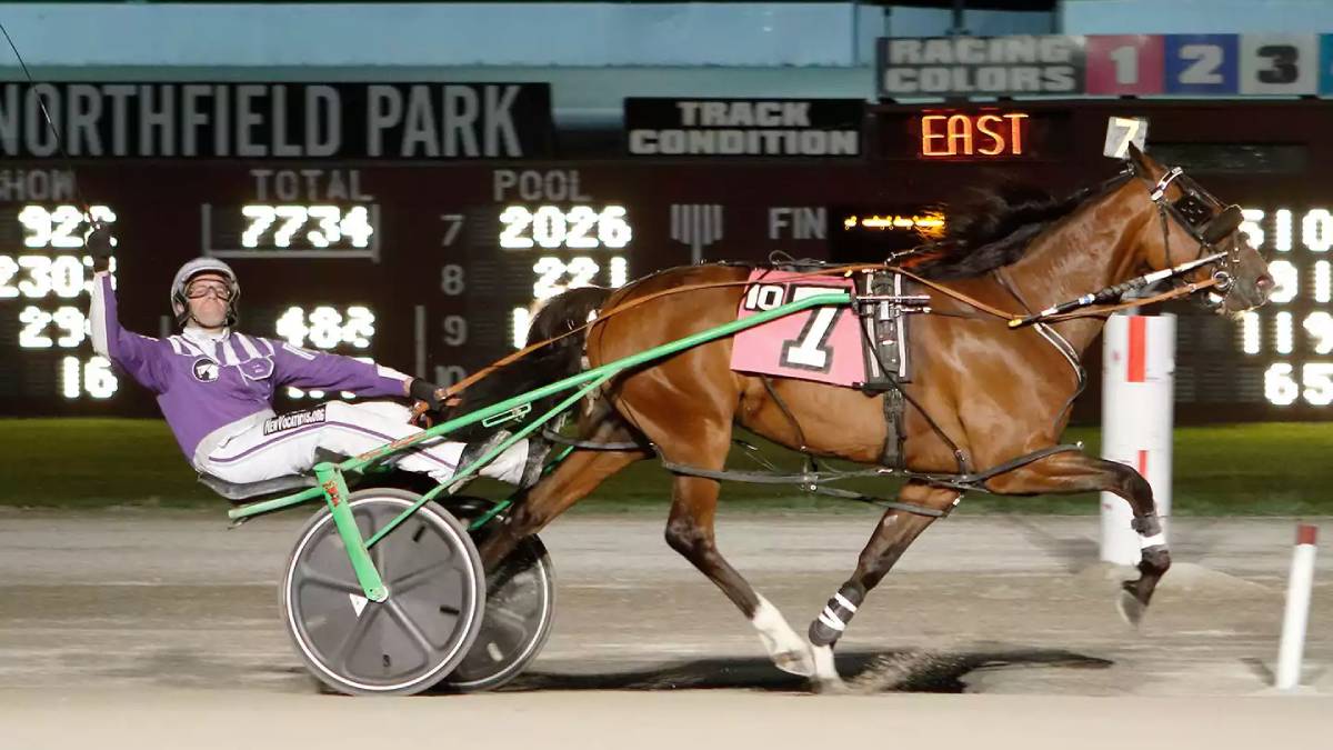 Ohio’s seven racinos are gambling venues at horse racetracks offering only slot machines.