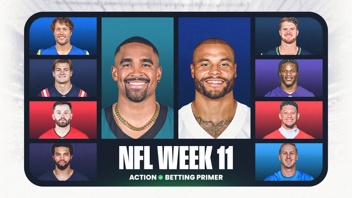 NFL Week 11 Betting Trends, Stats, Notes: Action Network Betting Primer article feature image