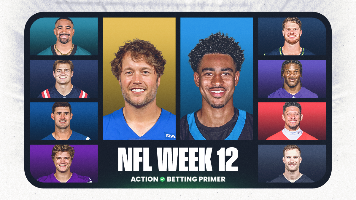 NFL Week 12 Betting Trends, Stats, Notes: Action Network Betting Primer