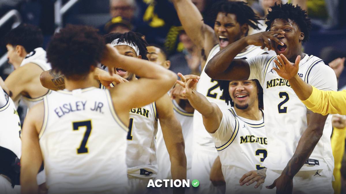 McNeese vs Michigan Predictions, Picks, Odds for Monday, December 29