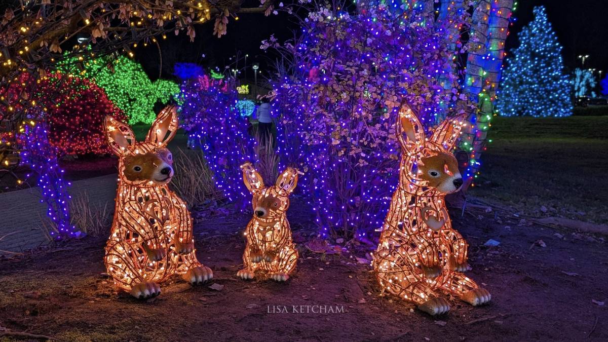 TULALIP LIGHTS & ICE. NOVEMBER 22, 2025 - JANUARY 11, 2026. Quil Ceda Village presents Tulalip Lights & Ice, a free-to-enter holiday event