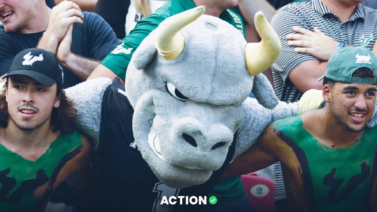 PRO Bowl Systems: Fade This D (ATS Pick) Image