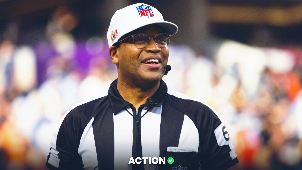 Wild Card Round Referee Trends & Stats Image