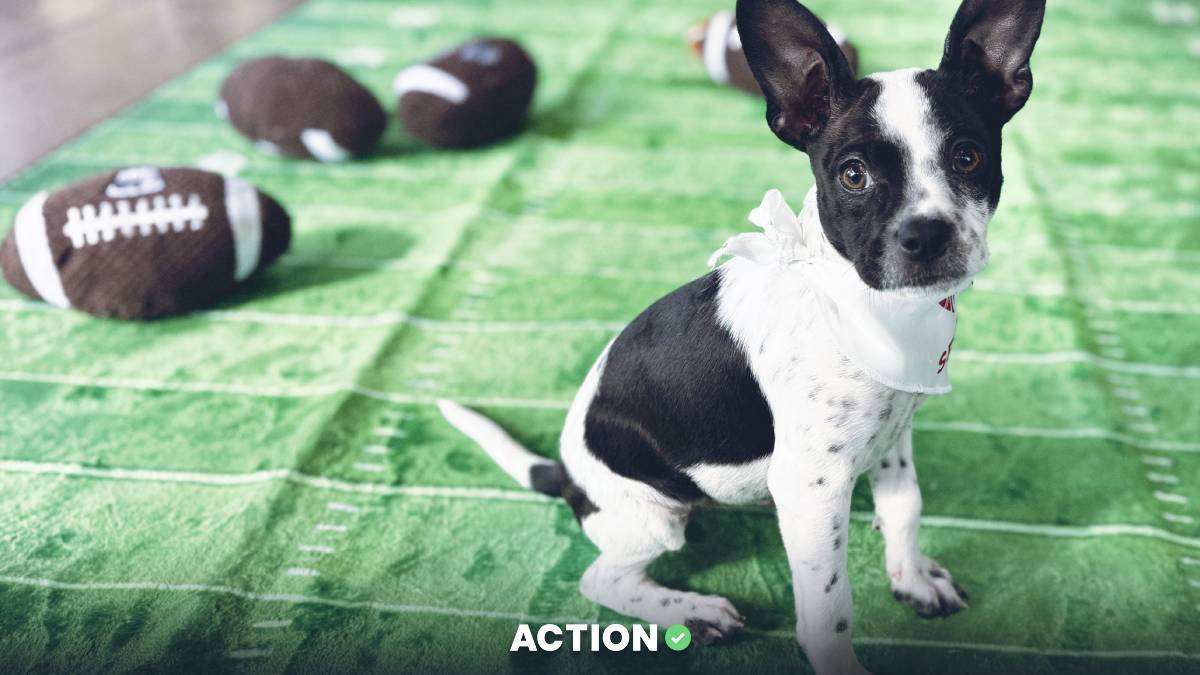 Prepare for the Puppy Bowl With These Sweepstakes Casino Games Image