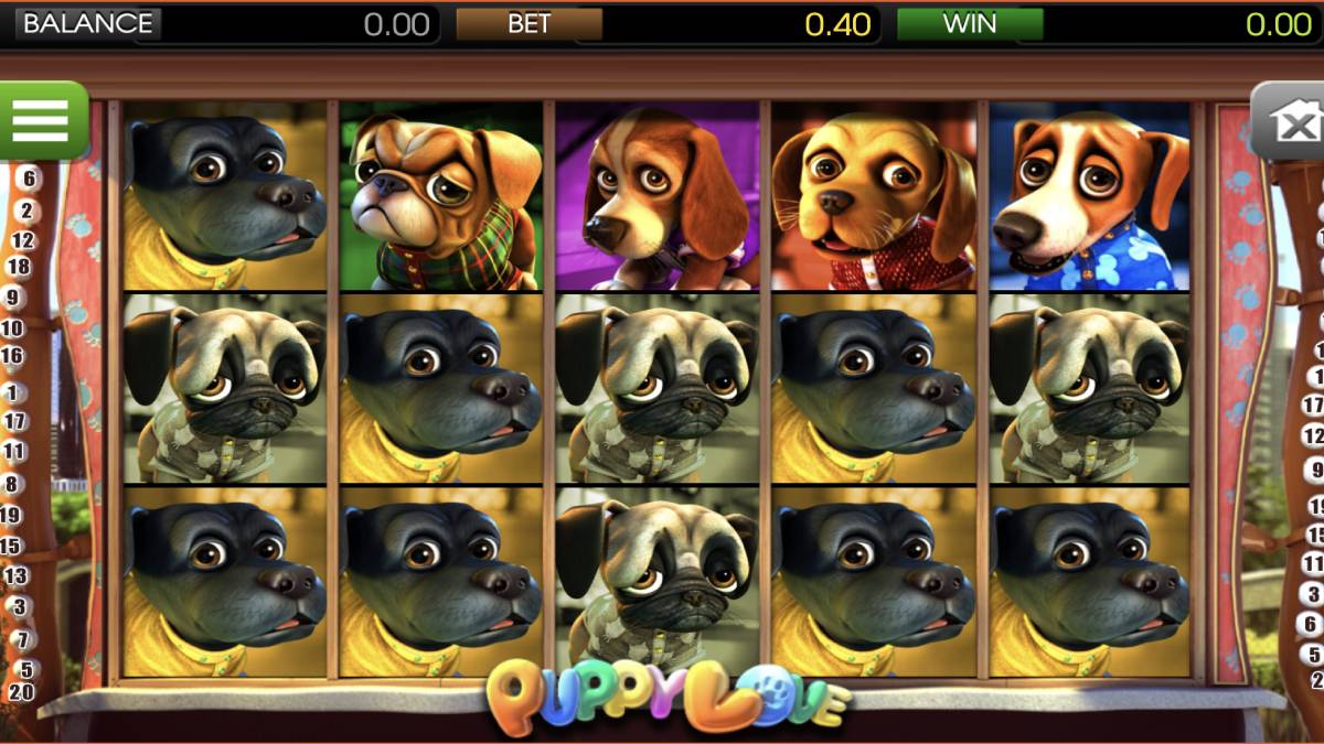 if you're looking for something to do while you're waiting for the puppy bowl to start, this is an image of the sweepstakes casino slot game called puppy that will help you pass the time in the most fun way possible.