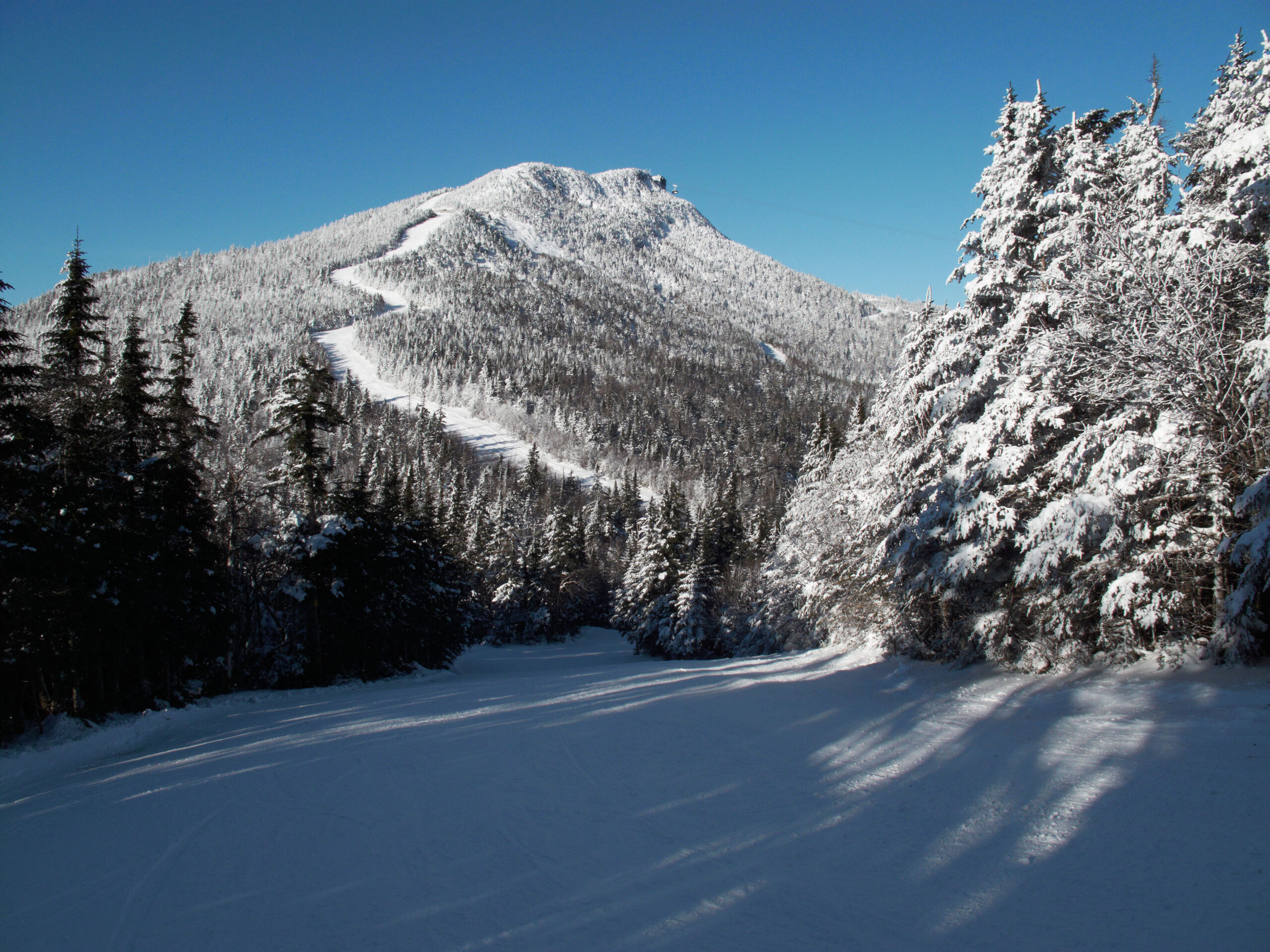 Which States Punch Above Their Weight at the Winter Olympics?