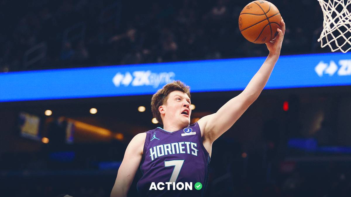 Hornets vs Bulls Prediction, Pick, Odds for Tuesday, February 24