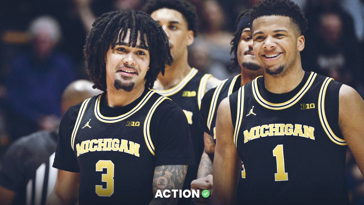 Minnesota vs Michigan Predictions, Picks, Odds for Tuesday, February 24