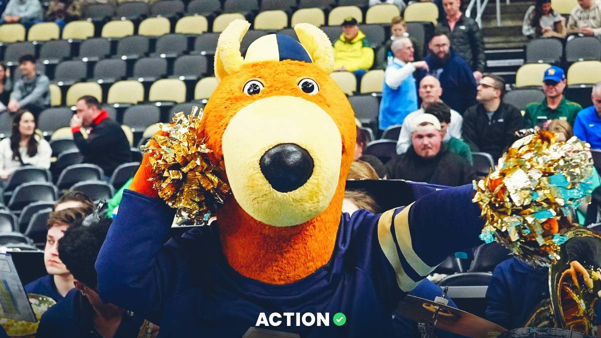 Backtested Systems Alert 2 Smart College Basketball Picks