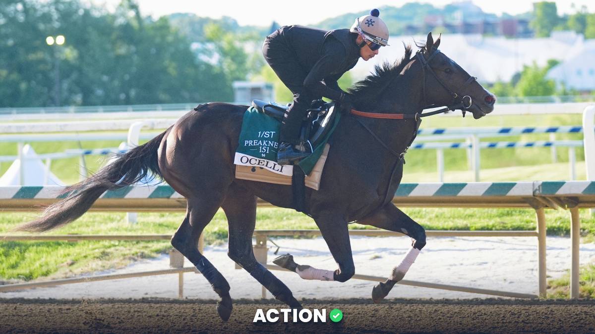 Zerillo's Preakness Stakes Betting Card Image