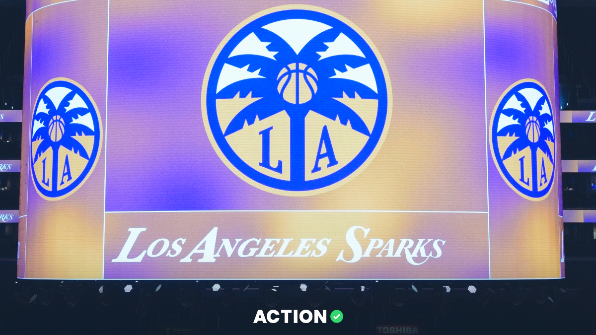 Data-Charged WNBA Predictions for Every Game Saturday (May 30) article feature image